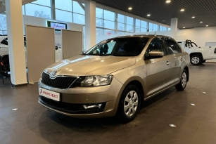 SKODA УДАЛЕННЫЕ