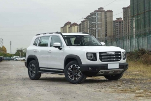 HAVAL DARGO