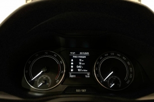 SKODA УДАЛЕННЫЕ