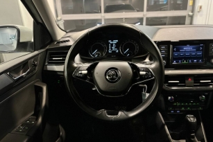 SKODA УДАЛЕННЫЕ