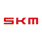 Диал Авто SKM