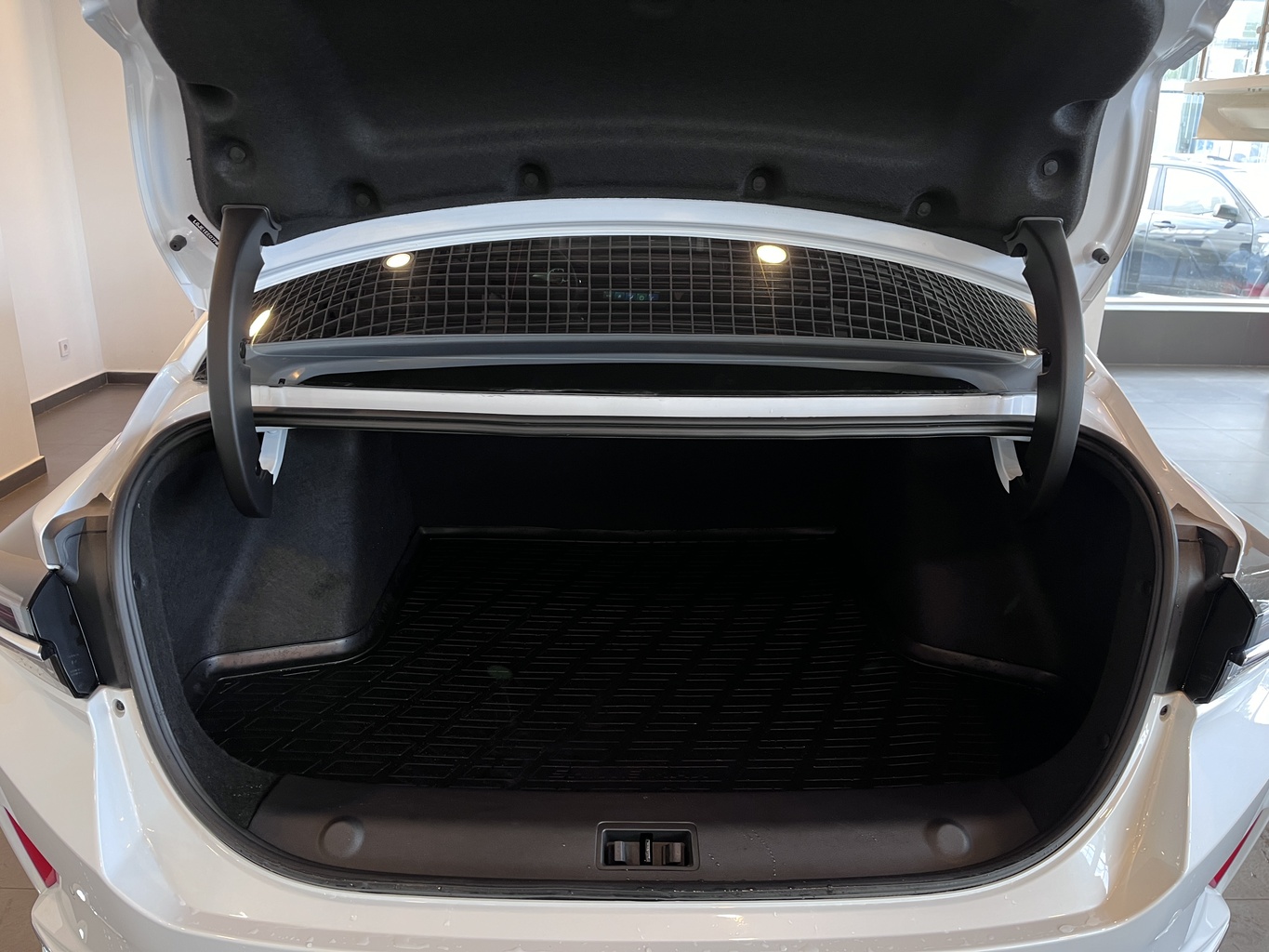 DONGFENG SHINE MAX