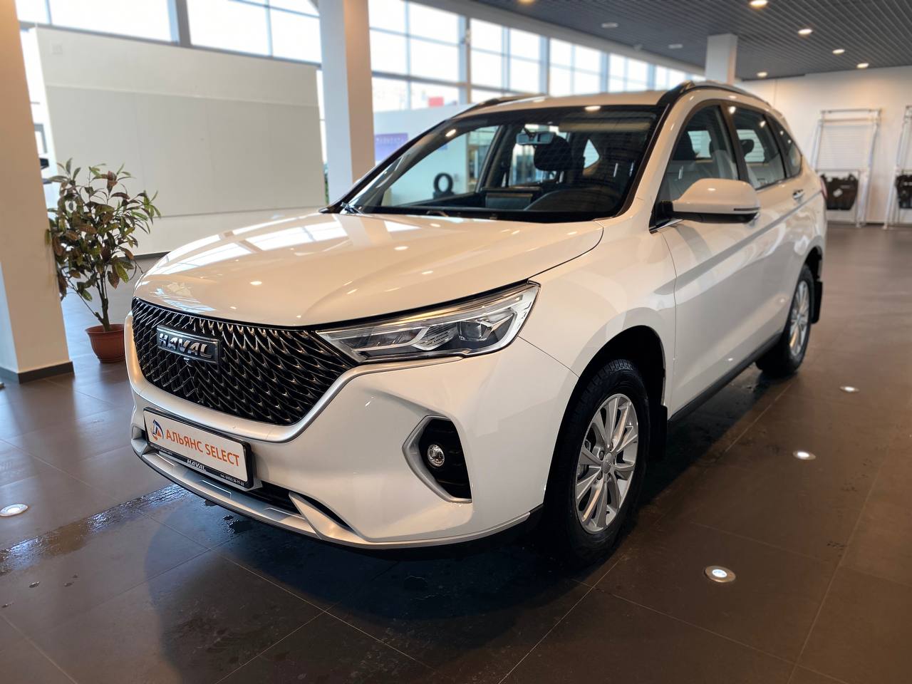 HAVAL M6