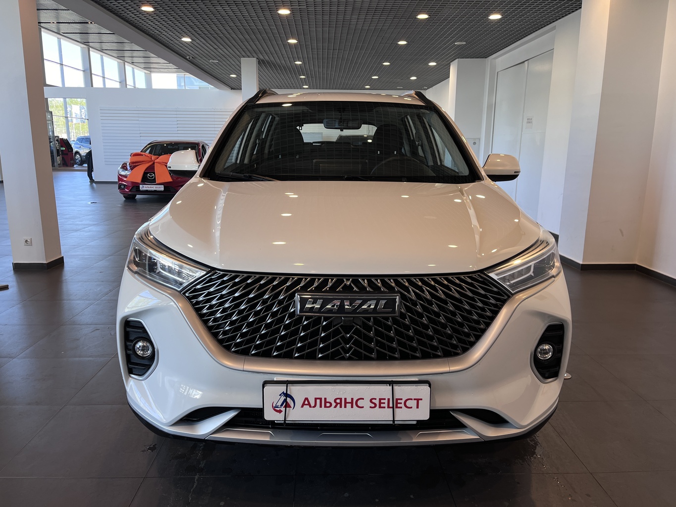 HAVAL M6