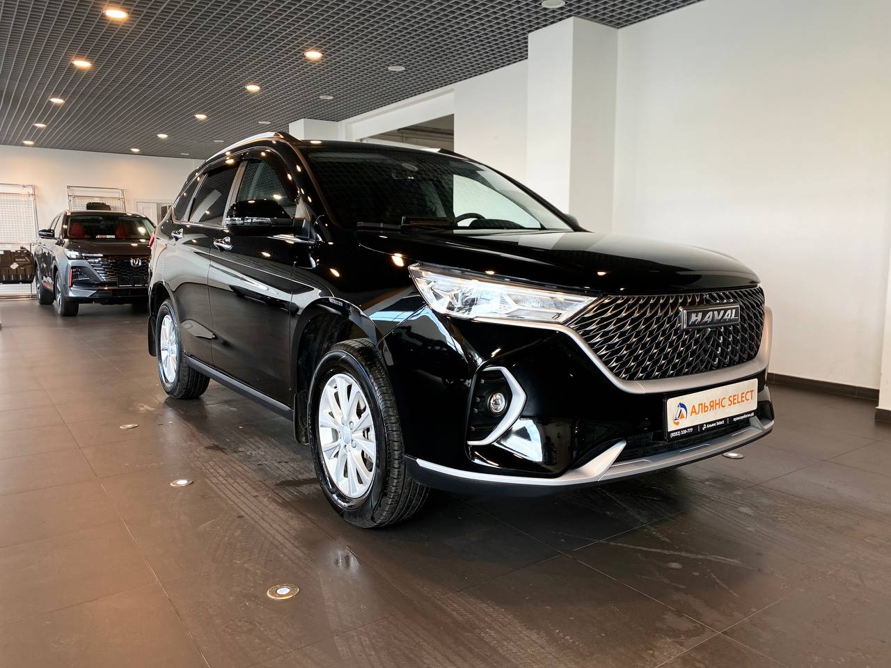 HAVAL M6