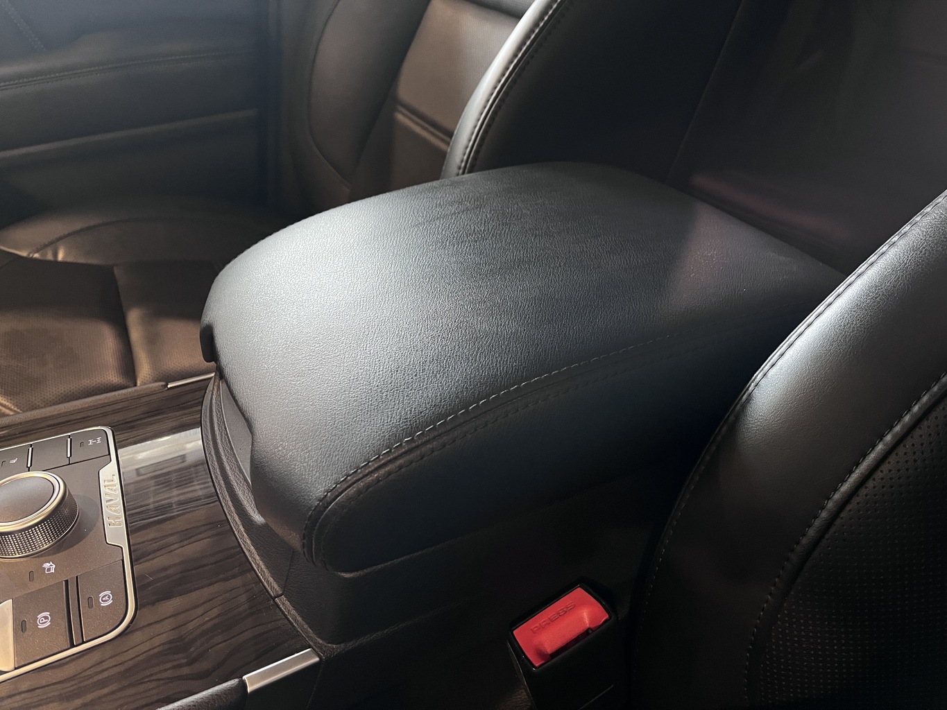 HAVAL H9
