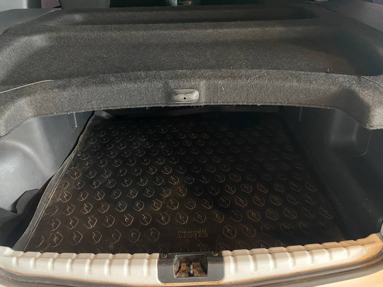 RENAULT DUSTER