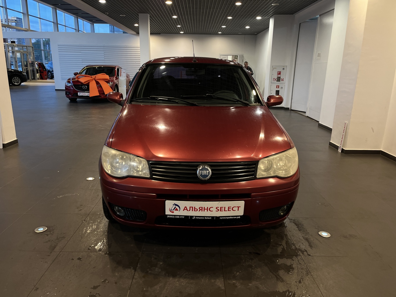 FIAT ALBEA