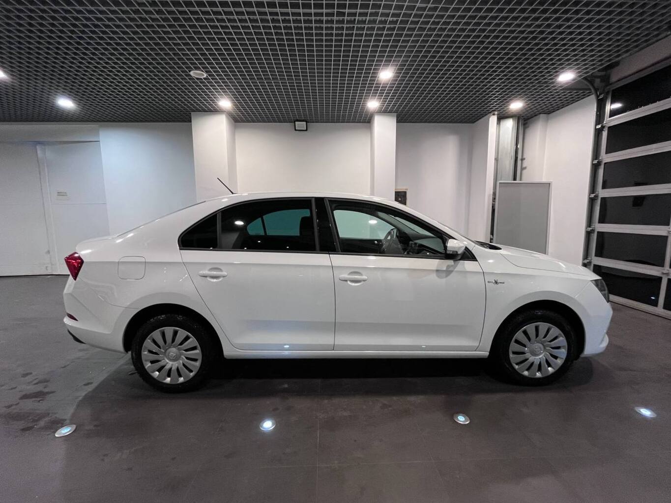 SKODA УДАЛЕННЫЕ