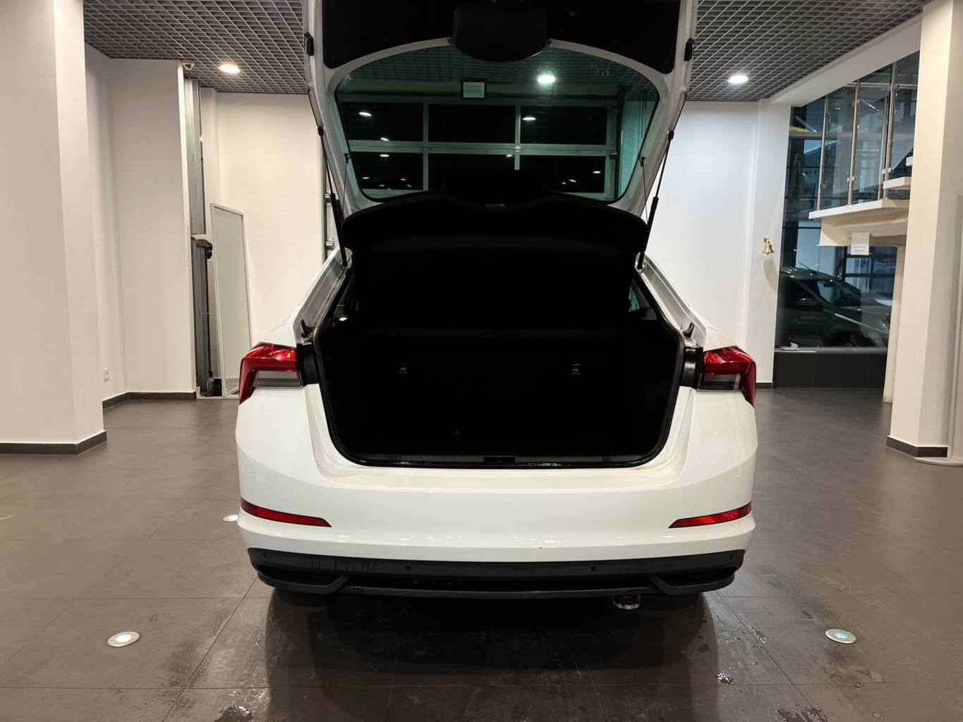 SKODA УДАЛЕННЫЕ