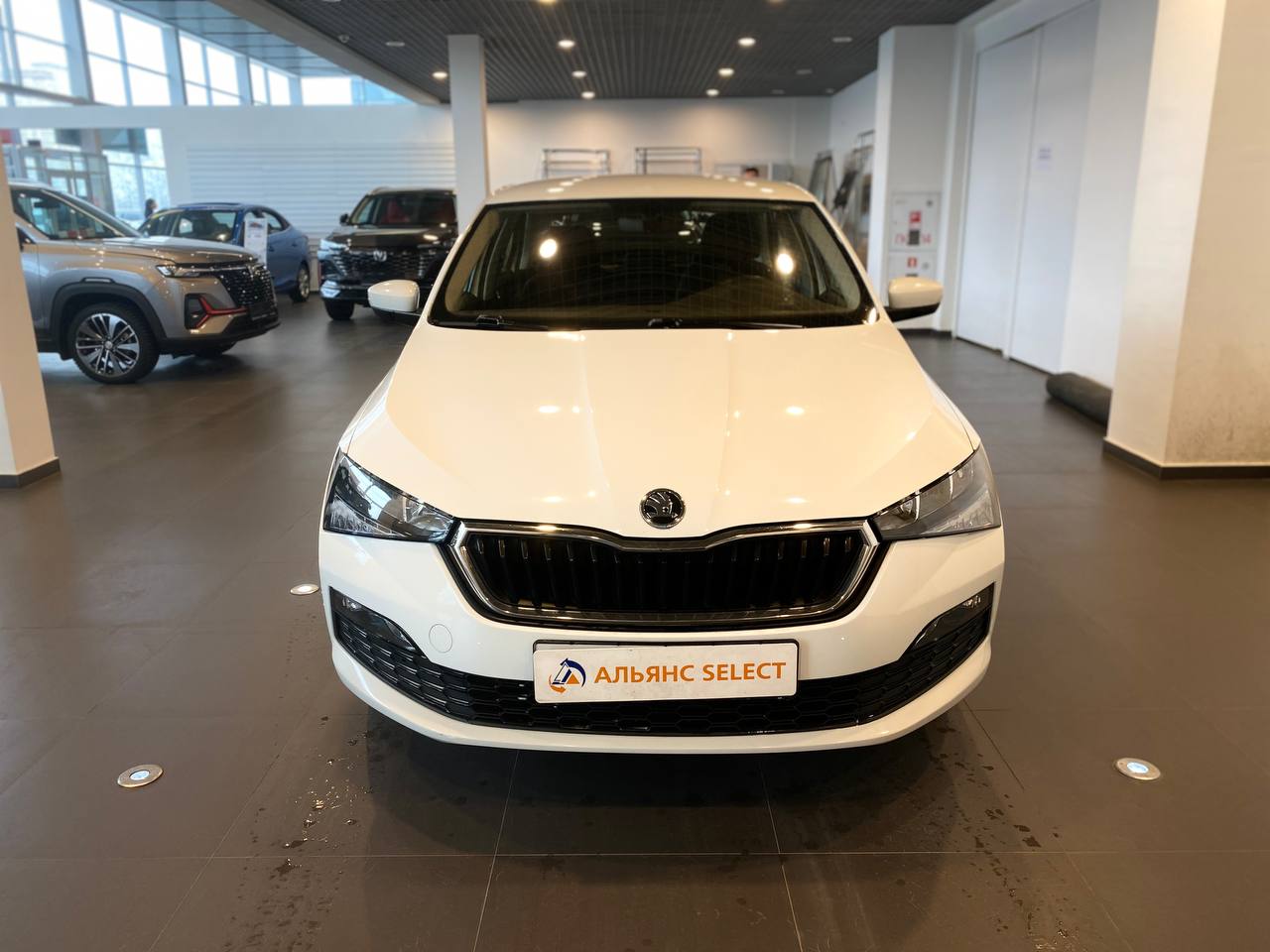 SKODA RAPID