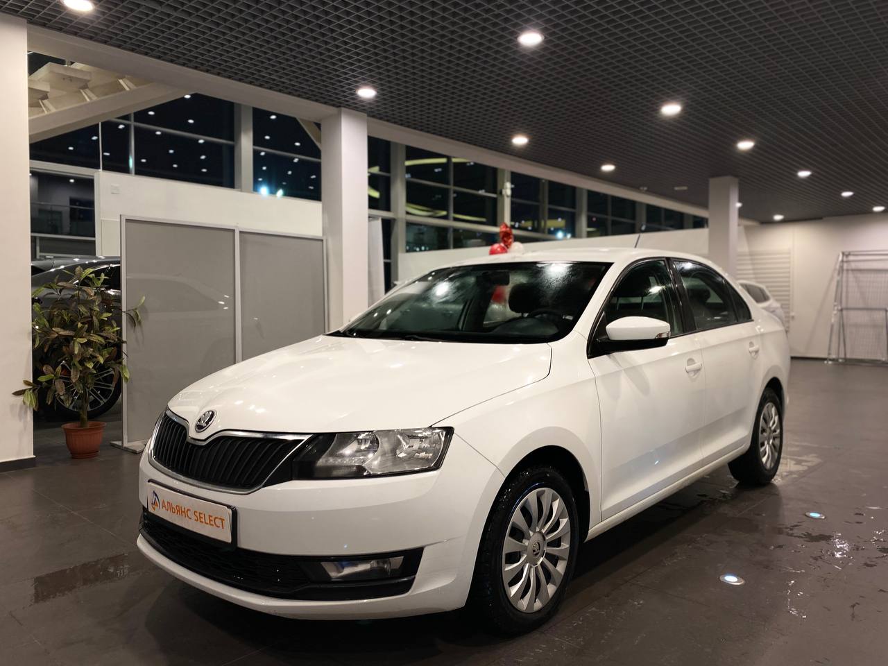 SKODA RAPID