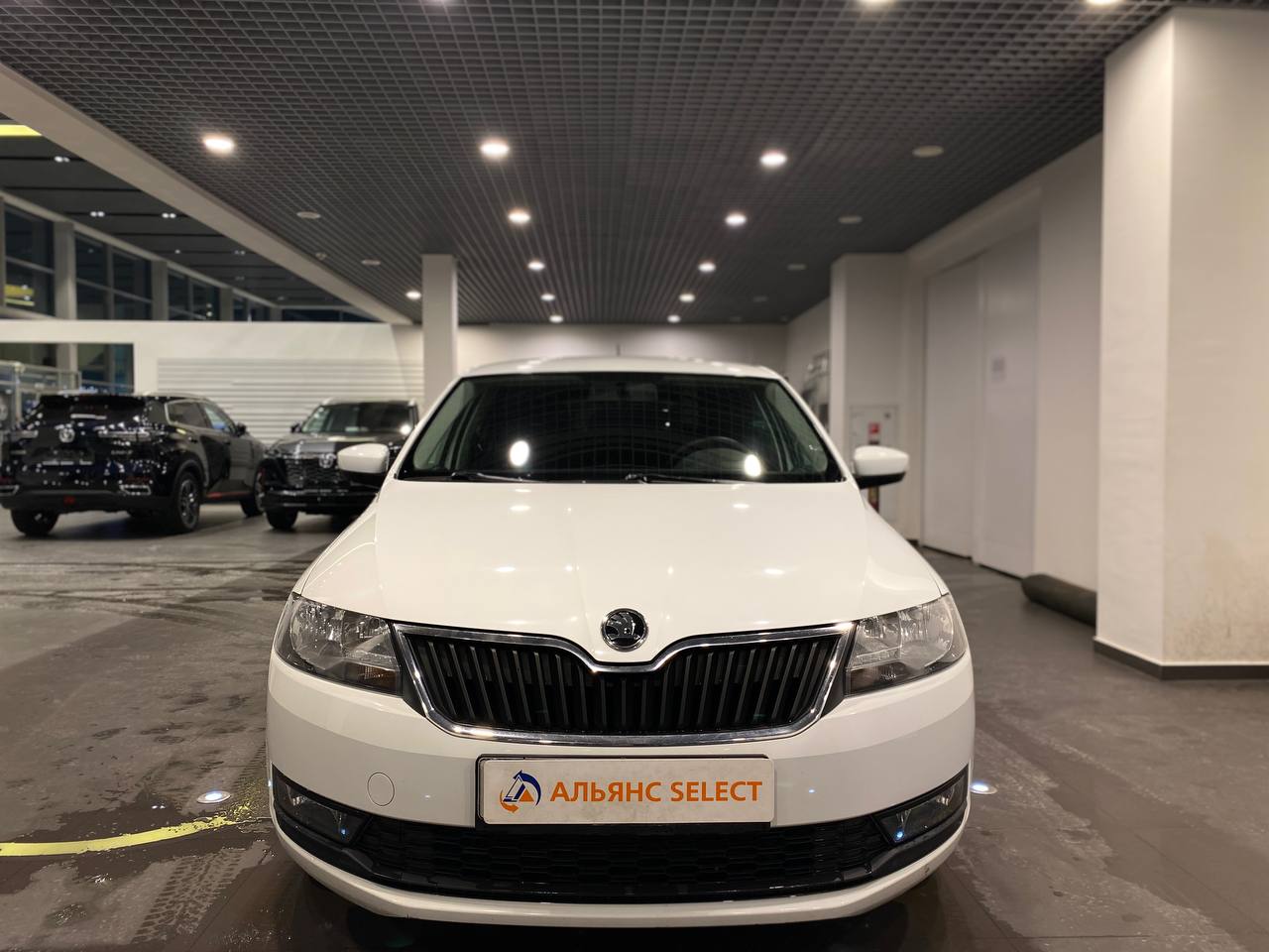 SKODA RAPID