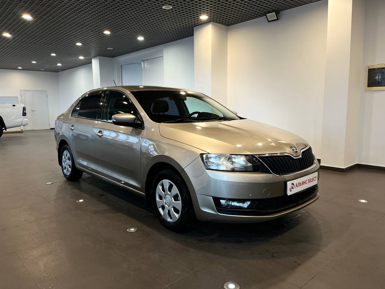 SKODA УДАЛЕННЫЕ