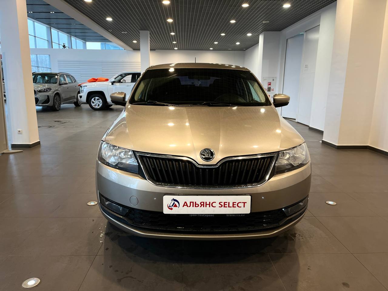 SKODA УДАЛЕННЫЕ