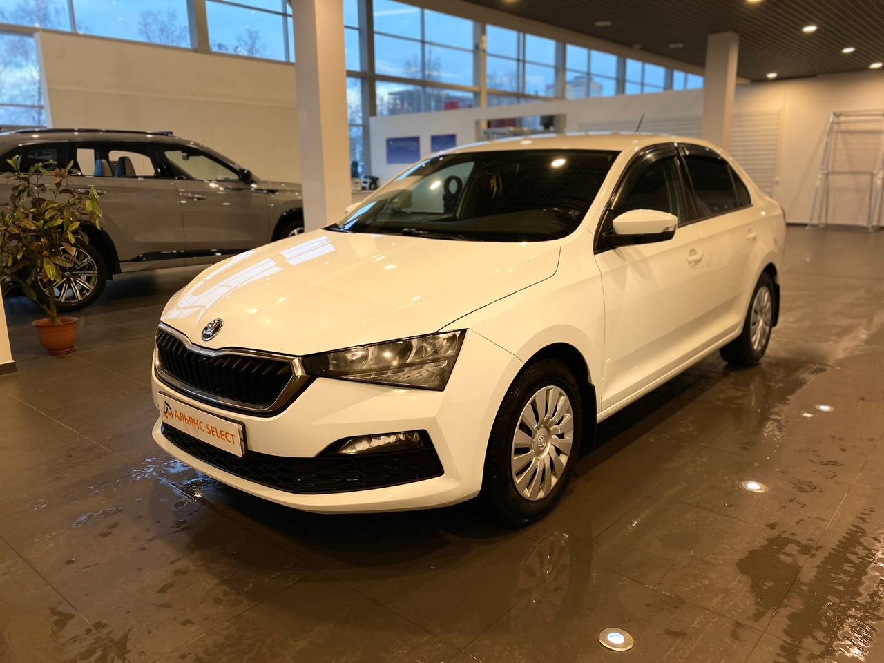 SKODA RAPID