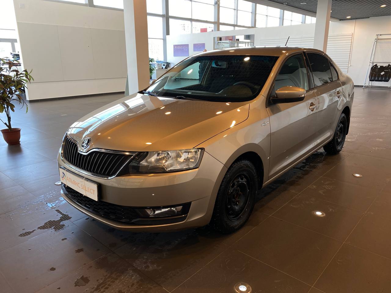 SKODA RAPID