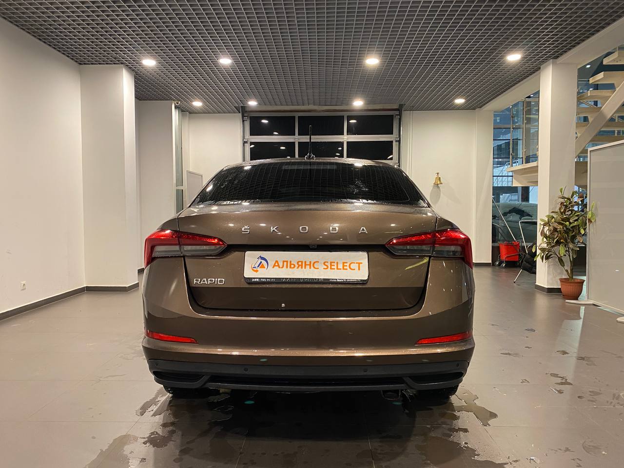 SKODA RAPID