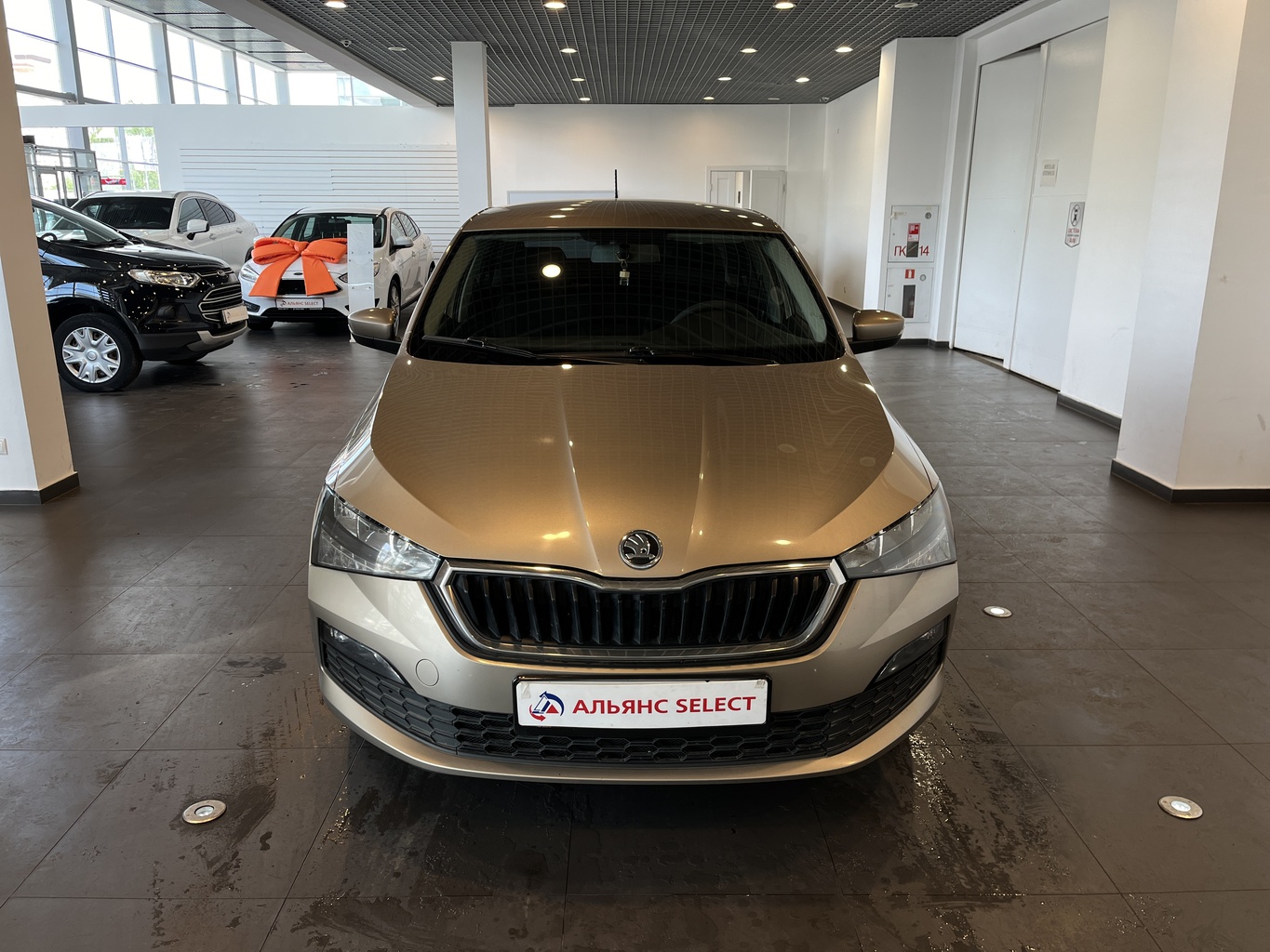 SKODA RAPID