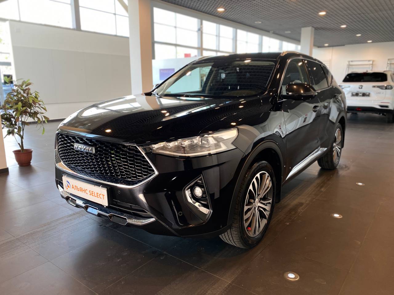 HAVAL F7