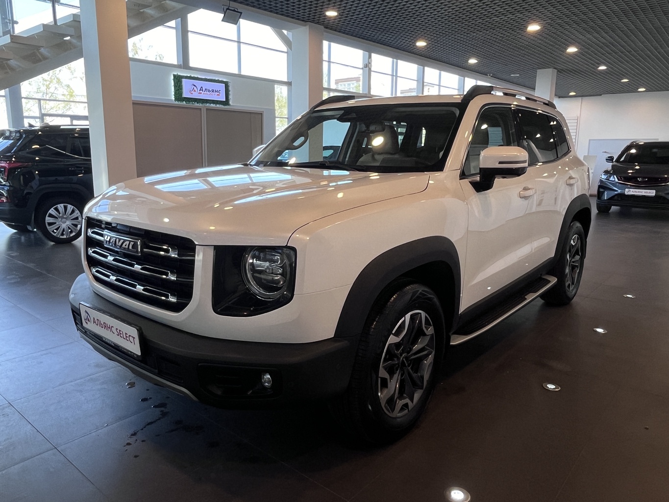 HAVAL DARGO