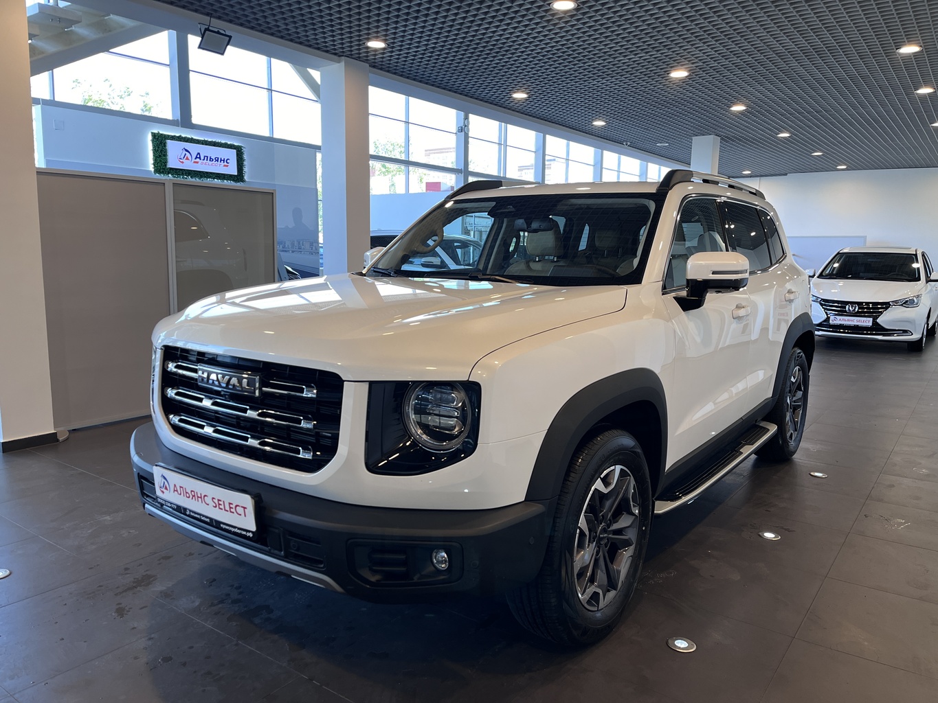 HAVAL DARGO