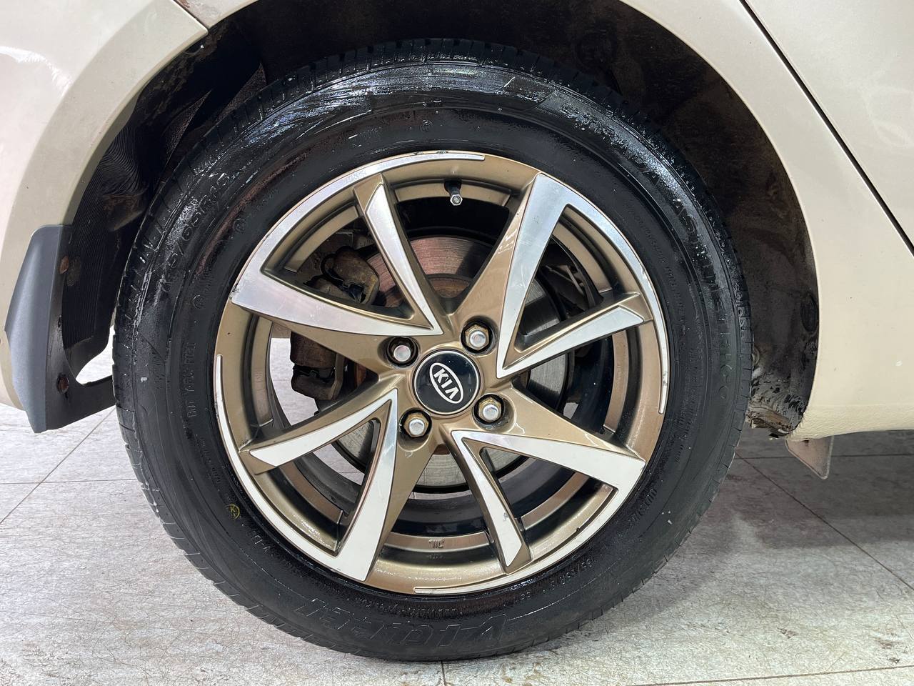 KIA RIO