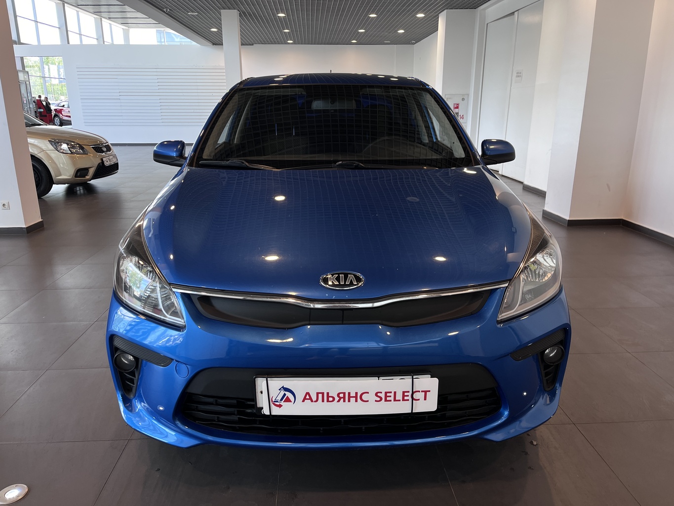 KIA RIO