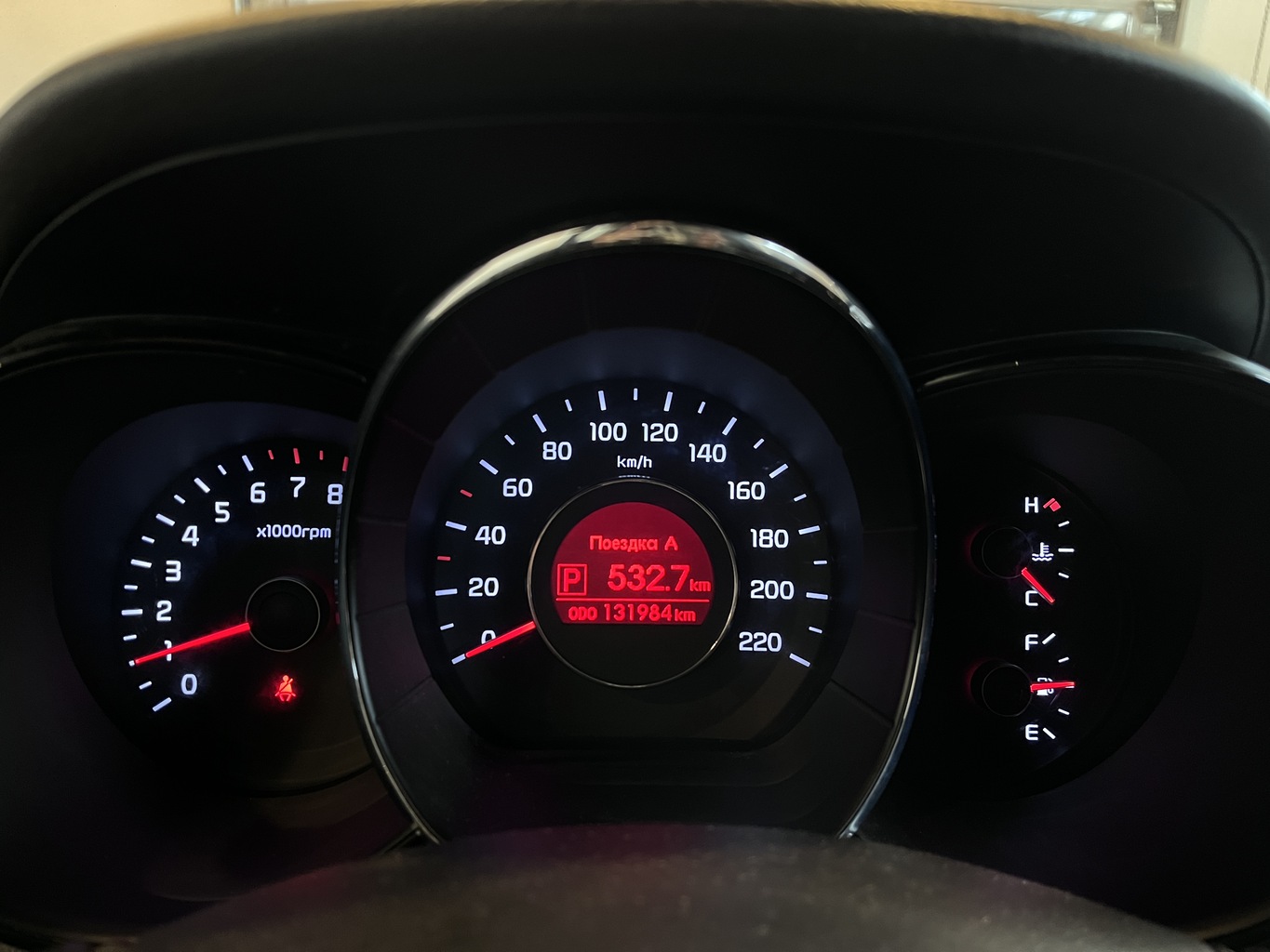 KIA RIO