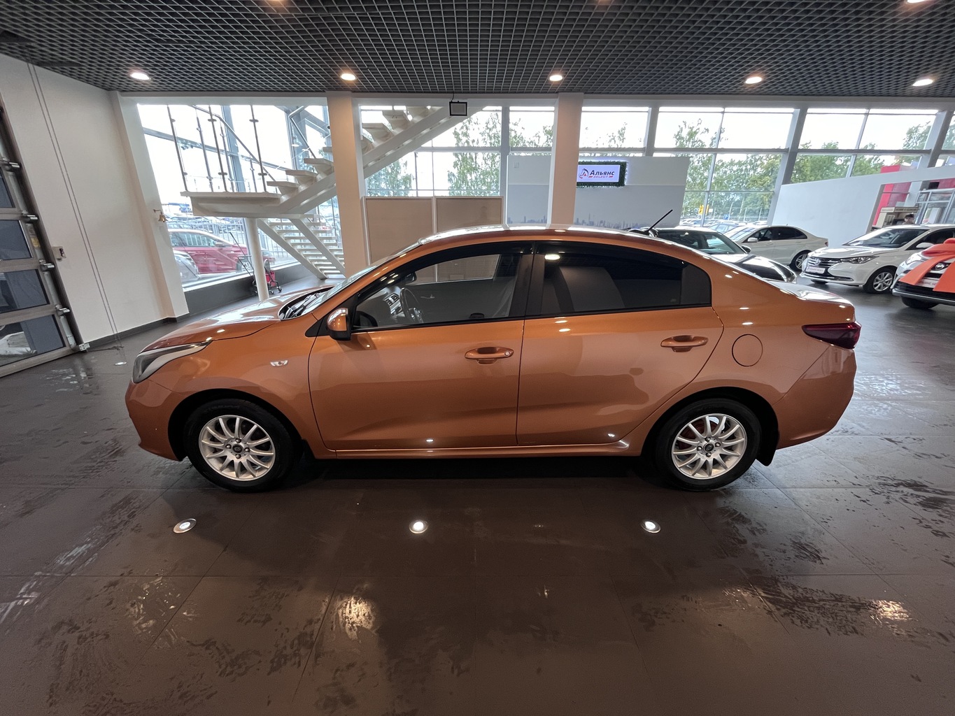 KIA RIO