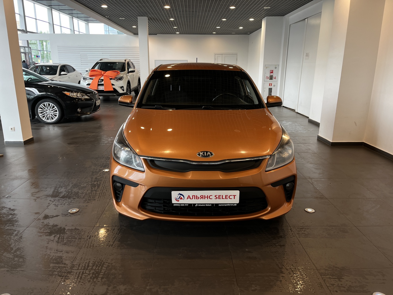 KIA RIO