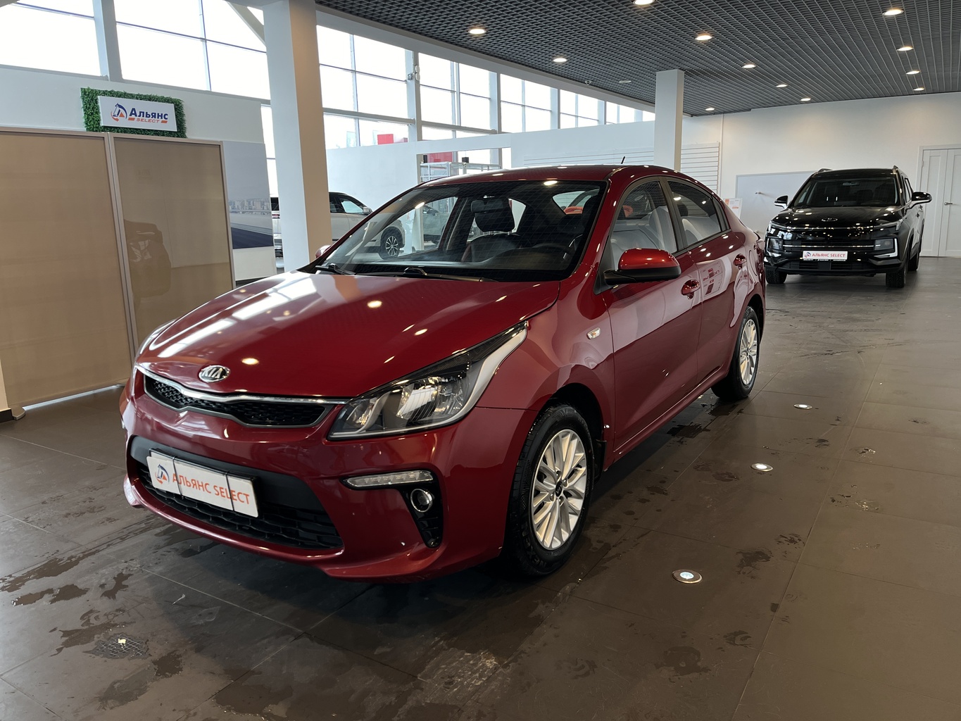 KIA RIO